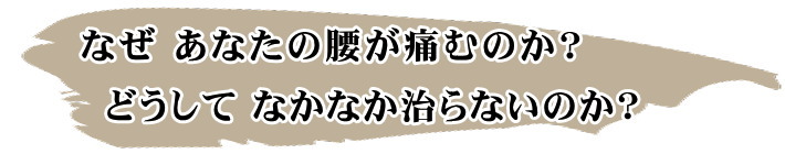 腰痛はなぜおこるのか？どうしてなかなか治らないのか